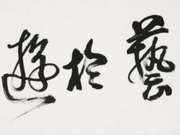 S021 夏雨墨---遊於藝 書法